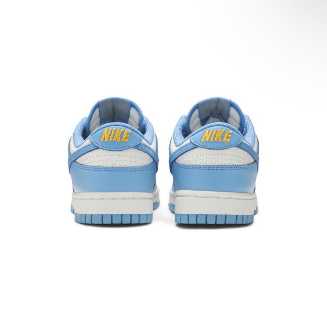 Dunk Low "Coast"